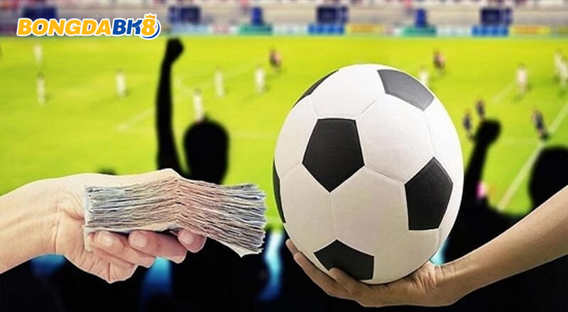Bán Độ Là Gì? Bán Độ Bóng Đá Có Phạm Luật Không?